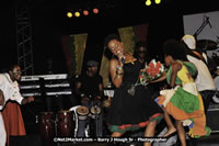 DSC_5537.jpg (82,449 bytes)